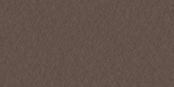 E1-V313