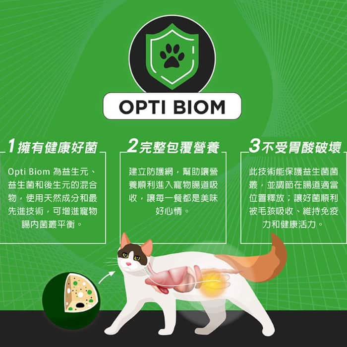 NH+擁恆低敏天然糧 成貓化毛配方