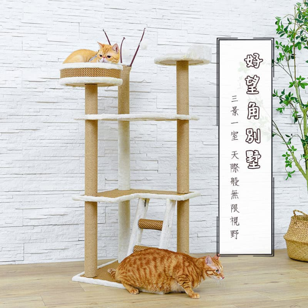 三景一室森林貓宅