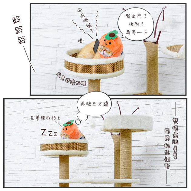 三景一室森林貓宅