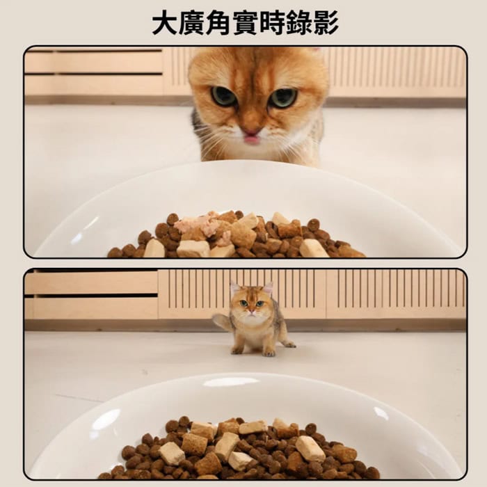 蛋捲餵食器  視訊版