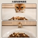 蛋捲餵食器  視訊版