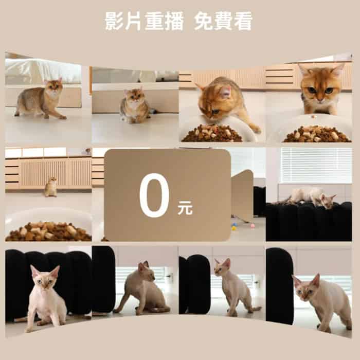 蛋捲餵食器  視訊版