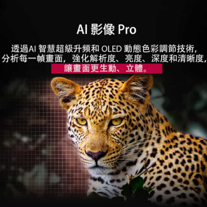 【LG】OLEDevoAI 4K電視C5系列
