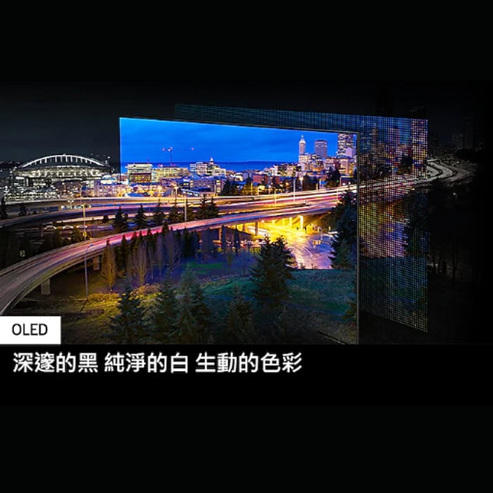 【三星】65吋OLED AI S90D電視