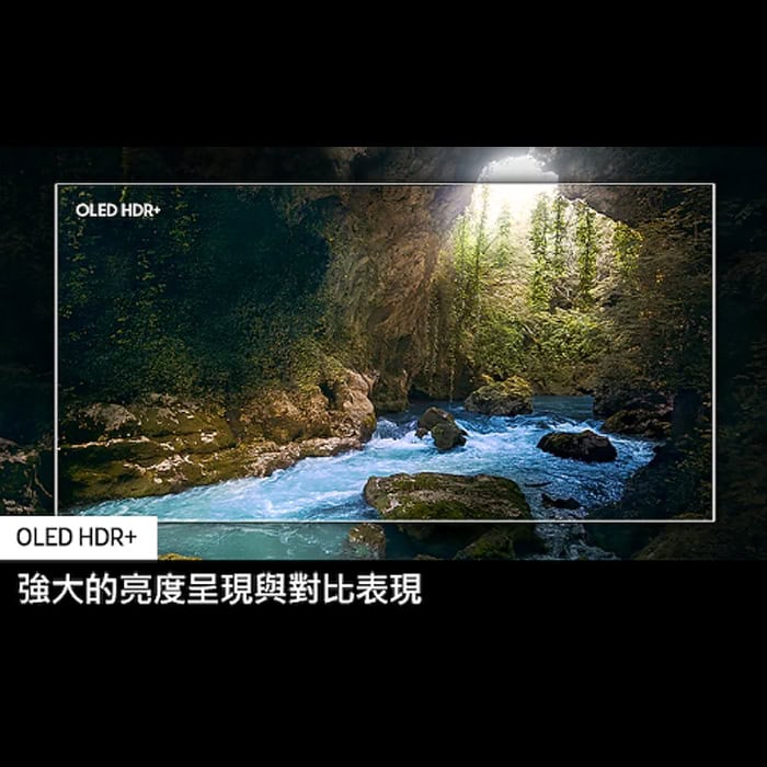 【三星】65吋OLED AI S90D電視