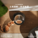 Polar 濕食餵食器